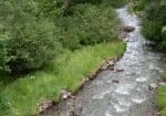 Image-Video3